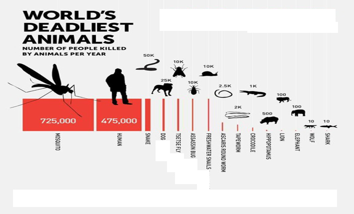 مرگبارترین حیوانات جهان