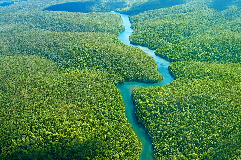 رود آمازون