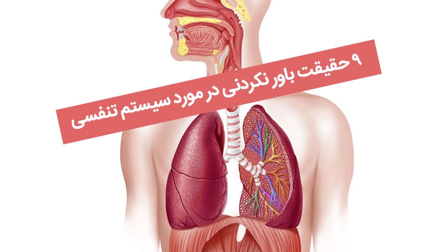 9 حقیقت باور نکردنی در مورد سیستم تنفسی